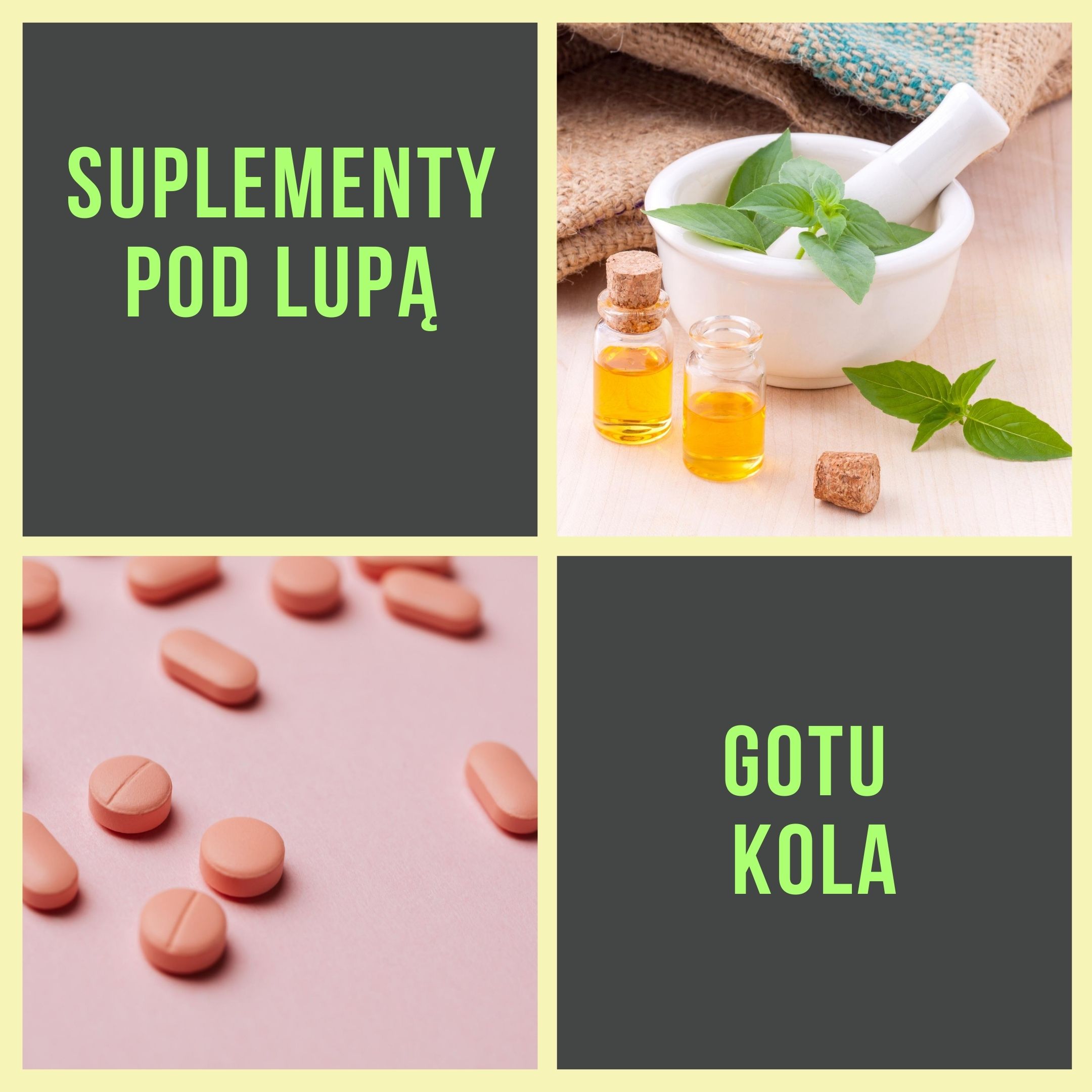 Suplementy pod lupą: Gotu kola, czyli Wąkrotka azjatycka